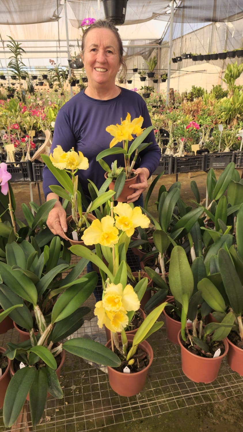 Apolônia na estufa com plantas de coleção