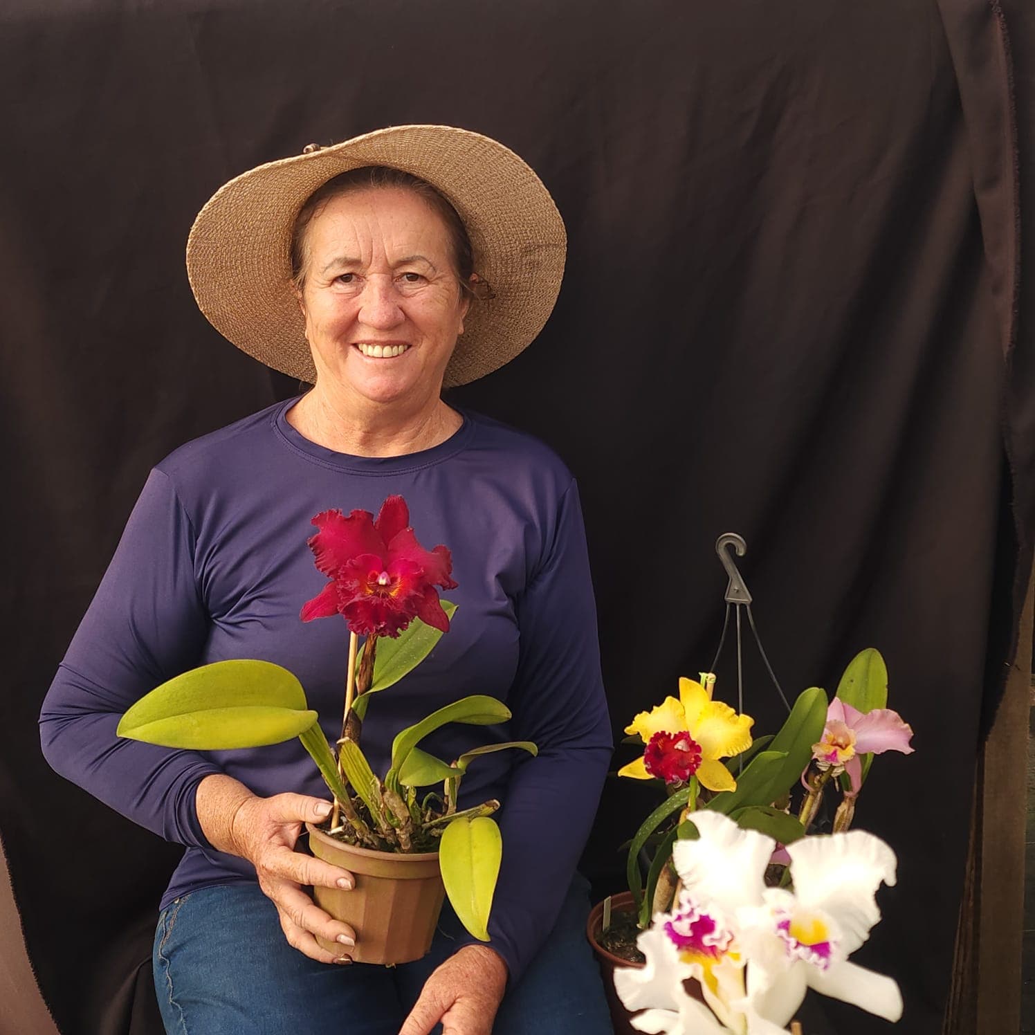 Apolônia com orquídeas de coleção